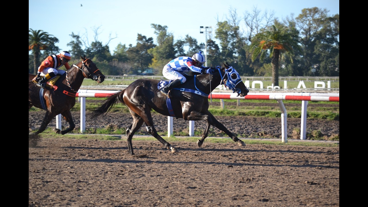 Handicap Haras Abolengo 2026 - Arcanum (Horse Greeley)