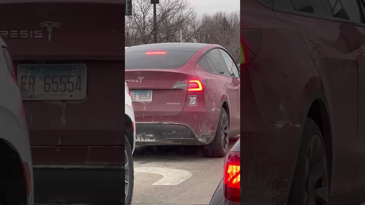 Я бы поступил так же, если бы у меня была Tesla, никогда не знаешь, кто проходит мимо 