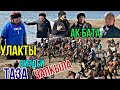 ТАЗА Улак БИЗДЕ Болот АК БАТА Бишкек