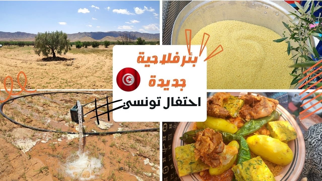 فرحتنا لا توصف: بئر فلاحية جديدة واحتفال تونسي أصيل في أحضان الأرض