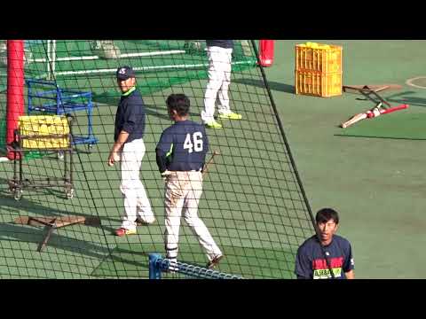 2017.11.10 東京ヤクルト 秋季キャンプ  谷内亮太 トスバッティング