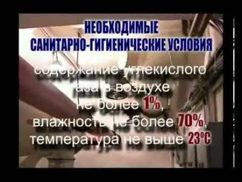 Современные защитные сооружения гражданской обороны