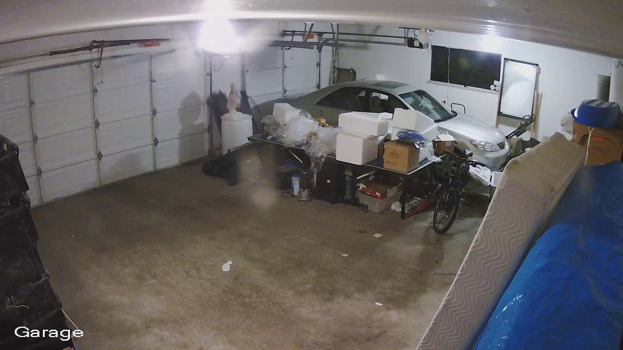 Garage thief 4/23/2018 - YouTube