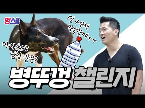 강아지 ‘병뚜껑 챌린지’ 해보개｜강형욱의 멍스쿨
