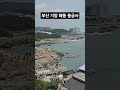 [부산여행] 부산 기장 해동 용궁사