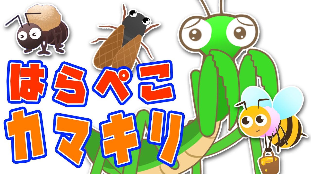 【フルver】はらぺこカマキリ おかあさんといっしょ月歌 香川照之の昆虫すごいぜ！NHK Eテレ【2019年6月】
