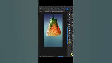 Magnifying Glass Effect In Photoshop #shorts