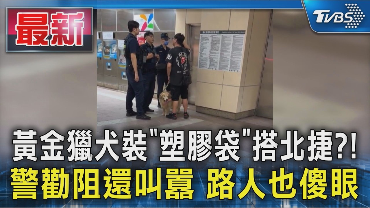 黃金獵犬裝「塑膠袋」搭北捷?! 警勸阻還叫囂 路人也傻眼｜TVBS新聞 @TVBSNEWS01