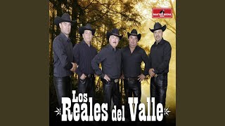 Video thumbnail of "Los Reales Del Valle - Adolecente y Bonita"