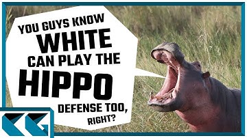 Chess Openings: The Hippopotamus Defense is Good for White too!