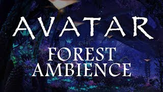 Avatar Ambience  Pandora at Night (Bioluminescence, Forest Sounds and Occasional Rain)