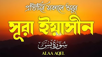 প্রতিদিন সকালে শুনুন – হৃদয় জয় করা কণ্ঠে সূরা ইয়াসিন | (سورة يس) Surah Yasin | Morning Tilawat
