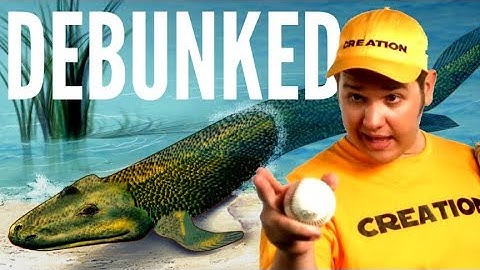 Creationisten versus overgangsvormen - ONTKRACHT!