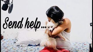 Hugging My Dog For Too Long Funny Reaction