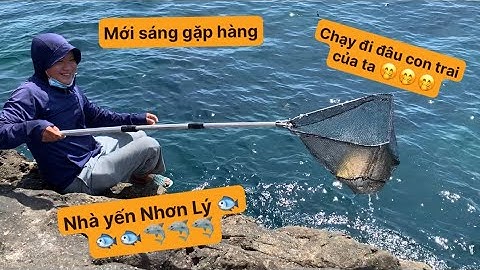 Mới Ra Cần Gặp Ngay Hàng. Câu Cá Biển Tự Nhiên. Tý Fishing. ( Vietnamese Fishing ).
