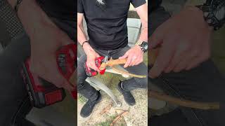 Flex tools gps35 budama makası #flextools #reels #viral #makita #bahçe #budama #shorts