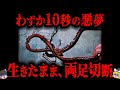 【2007年】わずか10秒！時速80kmで天国から地獄へ…「重大な落とし穴」と「抜け道」がもたらした最悪の遊園地事故「フリーフォールタワー切断事故」【ゆっくり解説】