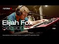 Nord live elijah fox   lightning