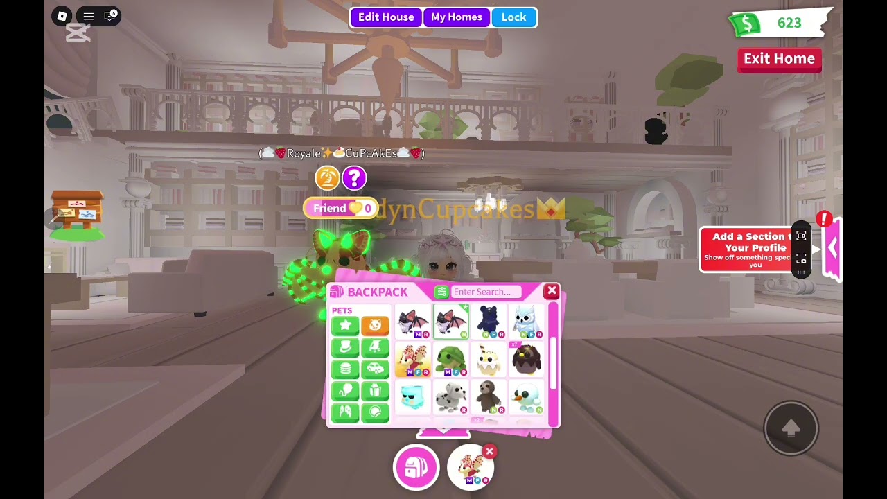 ADOPT ME GIVEAWAY ✨️🎆