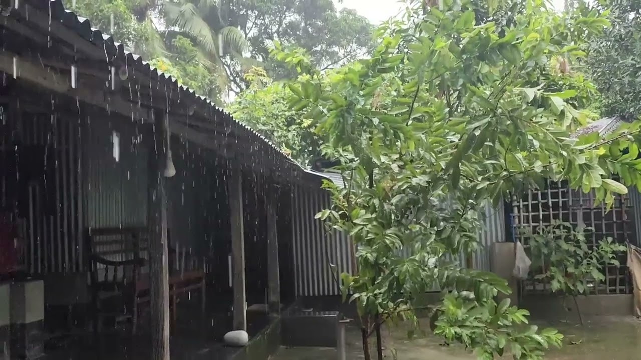 Relaxing Rain Sounds = Drifting to Sleep 😴