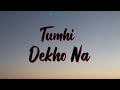 Tumhi dekho naa  lyrics   sonu nigam  alka yagnik  kabhi alvida na kehna  shah rukh khan