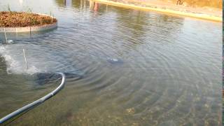 VID 20160412 165554779