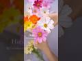 Swaying Petals of Clay Cosmos　風に揺れるクレイコスモスの花びら
