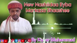 Eebba Battoota Markaza Shaashee