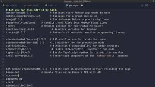 Your First Meteor Application (3.1) - Episode 5: Client-Side Method Calls