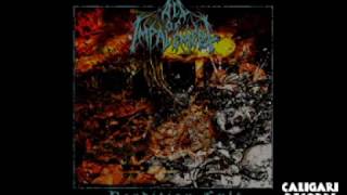 Act of Impalement - Draugr
