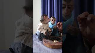 #monkey #monkeybaby #monkeylove #socutemonkey