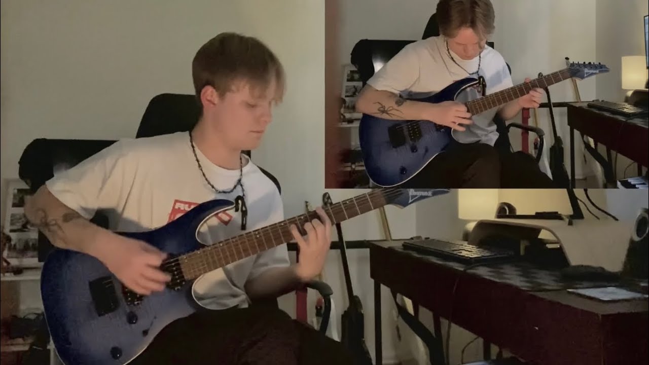 Like Moths to Flames - Habitual Decline (Guitar Cover)