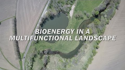 Bioenergy in a Multifunctional Landscape