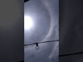Sun Halo
