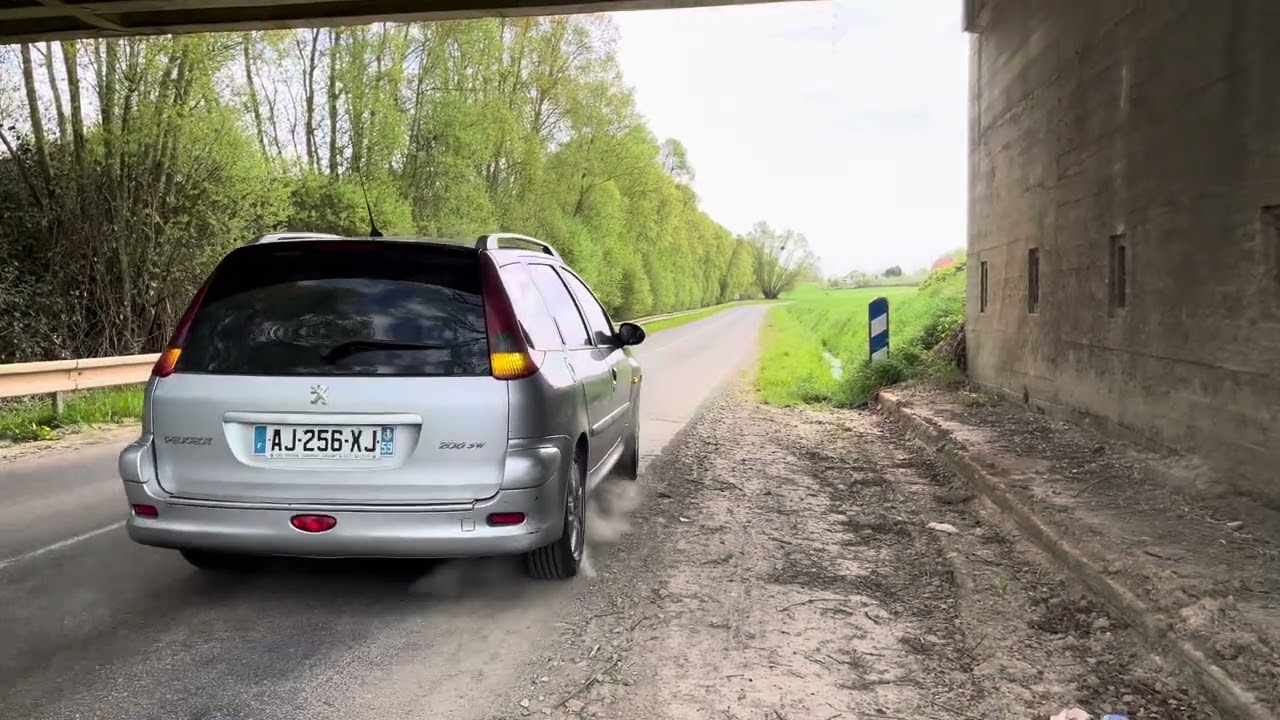 206 SW Stage 1 / Hardcut - 110 @145cv