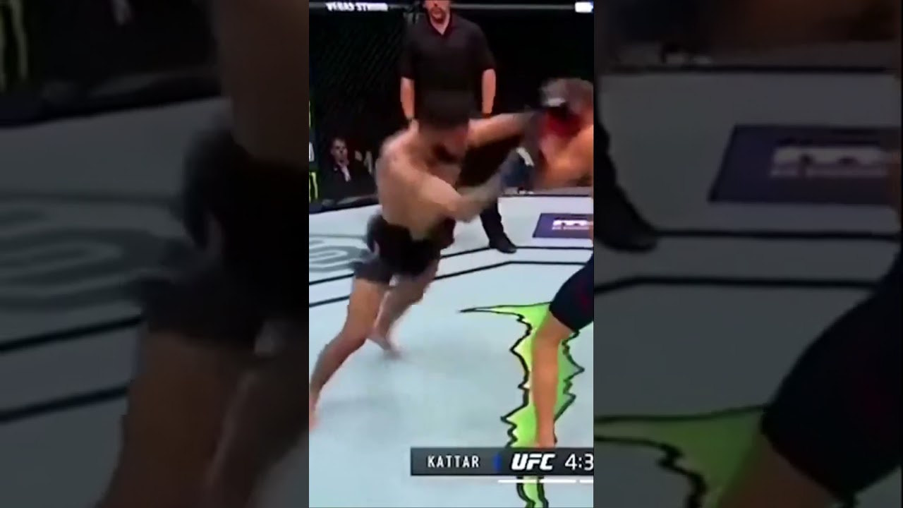 Unforgettable knockouts in the UFC cage 