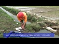 MỘT SỐ BIỆN PHÁP KỸ THUẬT CHĂM SÓC LÚA XUÂN
