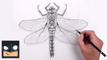 How To Draw Dragonfly | Beginners Sketch Art Lesson (Step by Step)