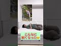 ã³ã¬ã§ããã8æãŸã§ã«7ãããããç©ããŸã
