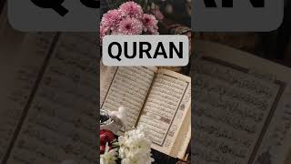 Quran Karim Recitation Urdu Hindi Translation In Motivation Lyrics #quran #recitation #hindi #lyrics