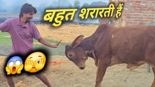 उसे देखने के बाद हँसी नहीं रुकेगी शरारती ब** देख लो || @sunehrigaay 
