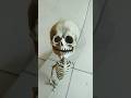 #shorts #shortsfeed #shortvideo #trending #funny #viral