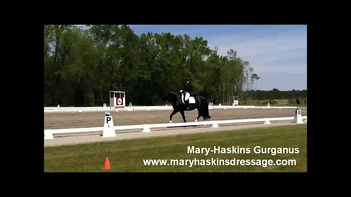 County Saddlery - North Carolina - Mary-Haskins Gu...