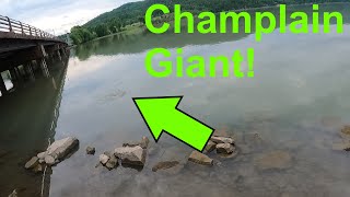 Lake Champlain Fishing Is Heating Up! [Primordial Fishing Episode 119]