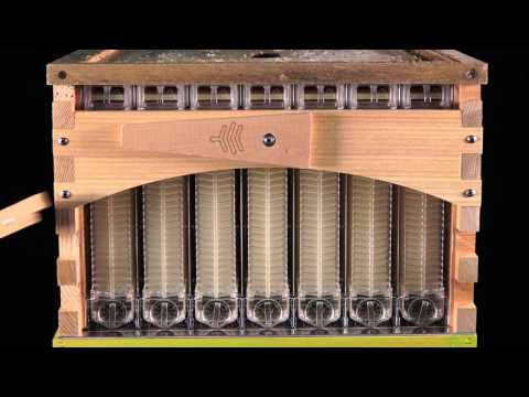 The Flow Hive