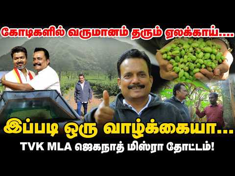 TVK MLA Jagannath Mishra's Cardamom Estate | Cumbam MLA