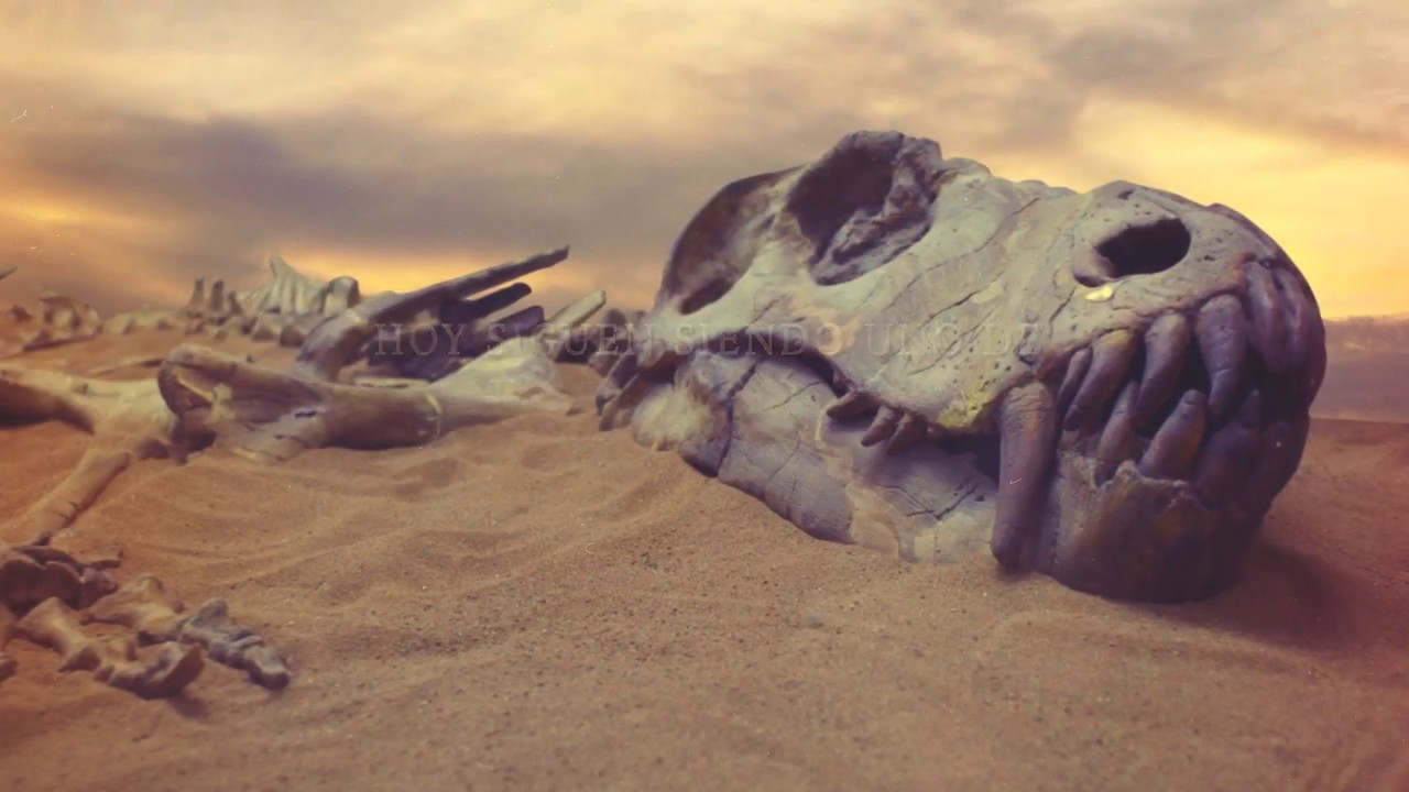 Auge y caída de los dinosaurios - La nueva historia de un mundo perdido -  YouTube