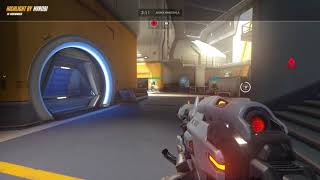 Widowmaker bug