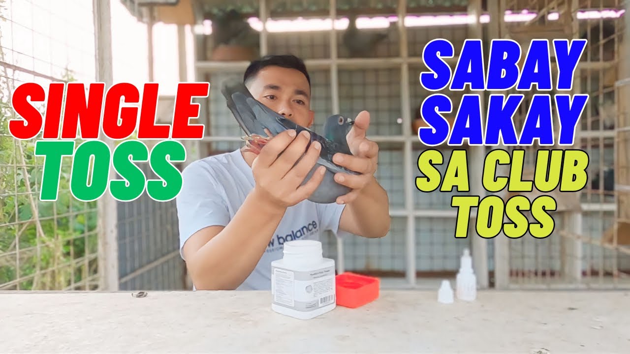 SELF TRAINING FOR SECOND LAP NORTH RACE SELF TOSS