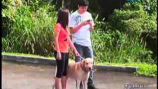 Video Download